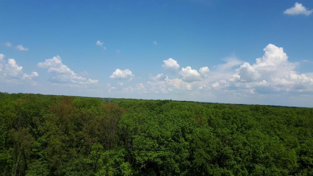 Foresthouse 2 Temešvár Exteriér fotografie